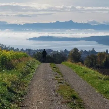 Bellevue - A73623 Immenstaad am Bodensee